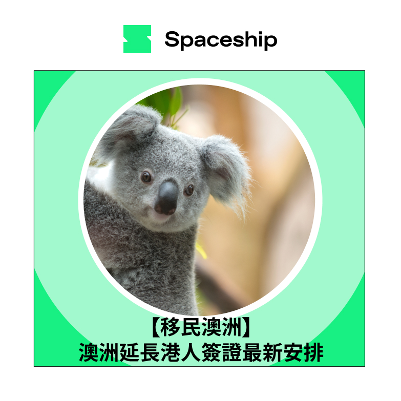 Spaceship 上門取件國際速遞及郵件追蹤。足不出戶即可寄件到英國、美國、日本、台灣、澳洲及超過 200 個地區。隨時隨地掌握郵件託運狀態。Spaceship Pro 備有各款物流路線以適應瞬息萬變的電商世界，用戶可於軟件內以低至 3 折預訂 UPS、FedEx、DHL、Aramex、香港郵政等各大物流服務，完成後進行簡易報關，購買空運標籤，一站式完成出貨。