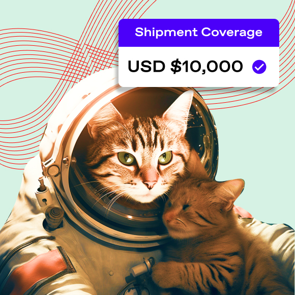 Spaceship E-commerce Logistics. Ship Worldwide with the Best Rate Spaceship is the global logistics brand that enables logistic efficiency for worldwide commerce. While Spaceship has an extensive logistics network with carriers to cover most of the deliverable regions in the world, it created Spaceship Pro - a software to automate shipping processes and provide customizable commerce-logistic solutions to businesses.